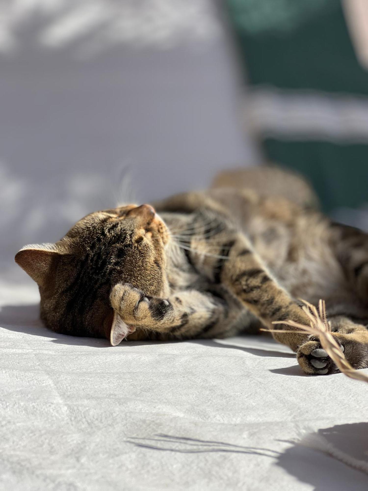 Riad Prive Sadaka Bassin Rooftop Marrakesz Zewnętrze zdjęcie